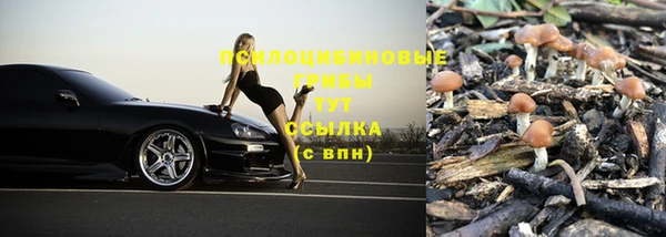 мдпв Кукмор