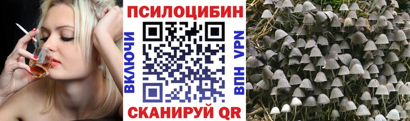Купить закладки  Муравленко  Псилоцибиновые грибы мухоморы 